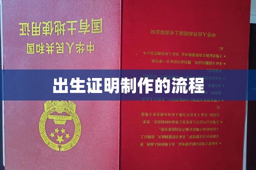 梨树出生证明制作的流程