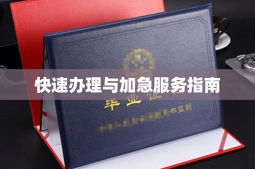 梨树快速办理与加急服务指南