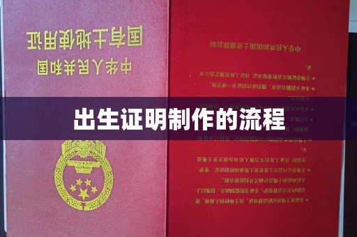梨树出生证明制作的流程