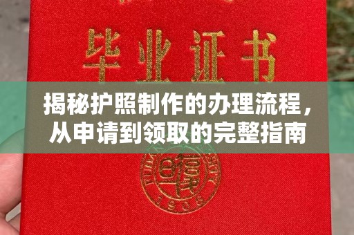 梨树揭秘护照制作的办理流程，从申请到领取的完整指南