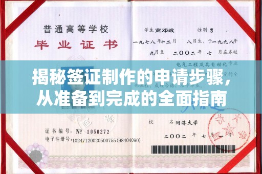 梨树揭秘签证制作的申请步骤，从准备到完成的全面指南