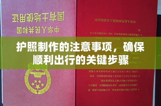 梨树护照制作的注意事项，确保顺利出行的关键步骤