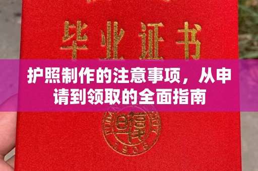 梨树护照制作的注意事项，从申请到领取的全面指南