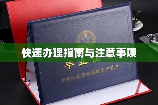 梨树快速办理指南与注意事项